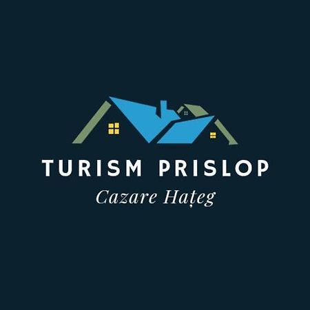 מלון Haţeg Cazare Turism Prislop מראה חיצוני תמונה
